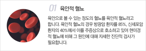 혈노의 분류 이미지1