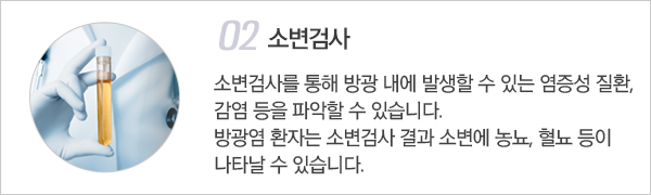 방광염의 진단 이미지2