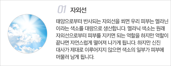 주근깨 / 잡티의 원인 이미지1